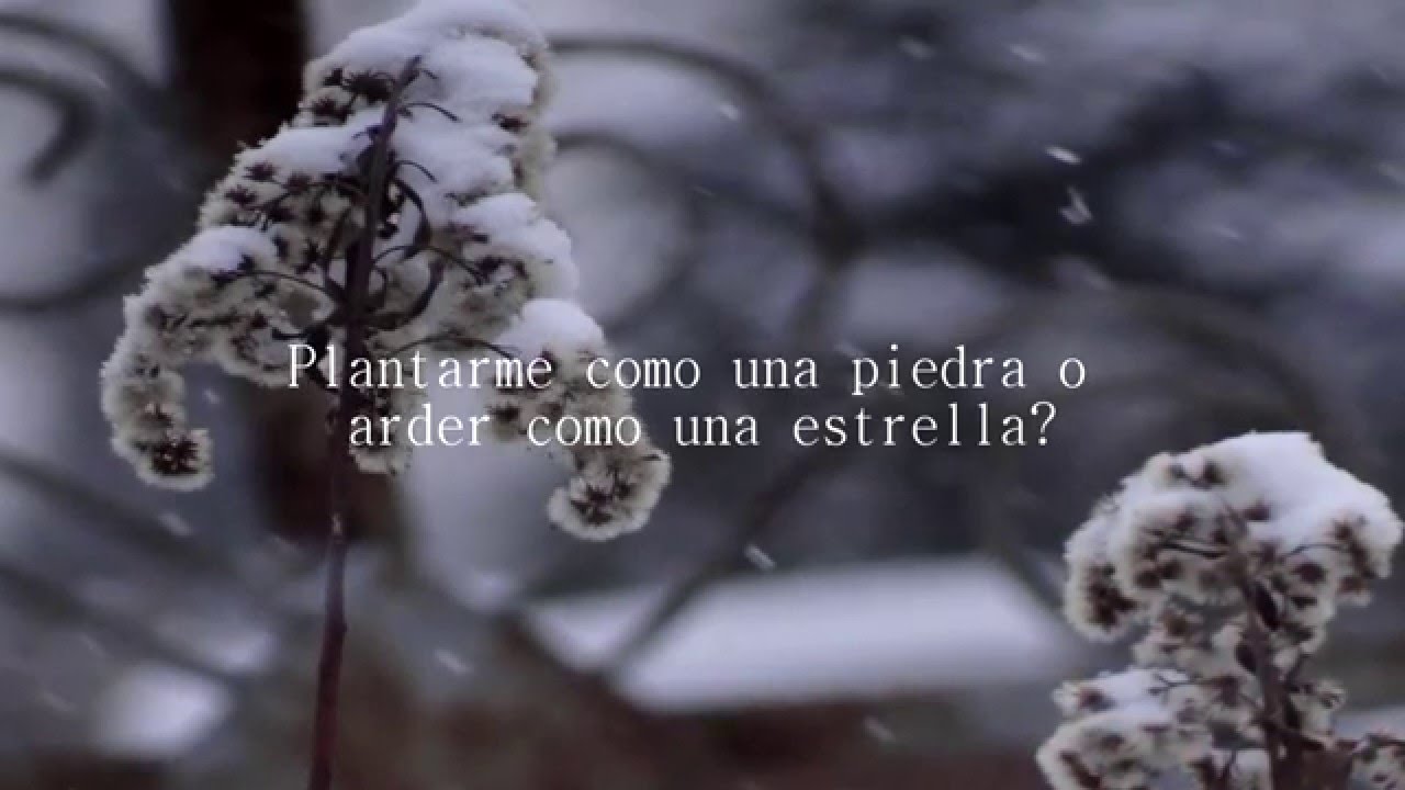 Kukushka- KINO / Ver. Polina Gagarina (Sub Español)