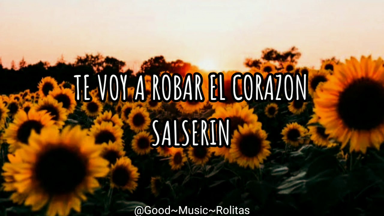 Te voy a Robar el corazon salserin (letra/lycris)