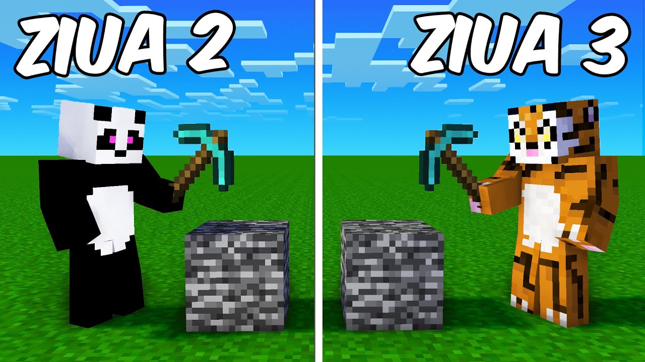 L-AM PROVOCAT LA CELE MAI NEBUNE CHALLENGE-URI *IMPOSIBIL*