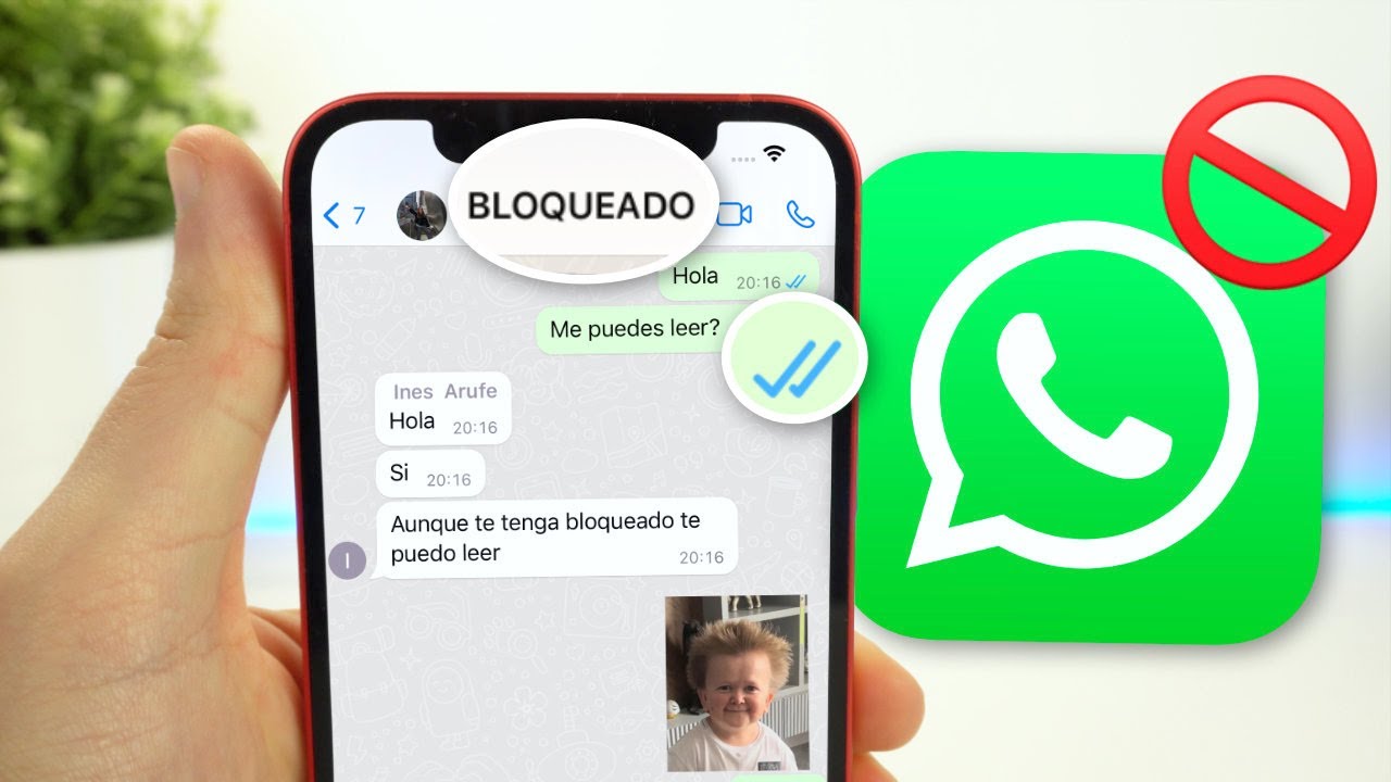 Как НАПИСАТЬ тому, кто ЗАБЛОКИРОВАЛ вас в WhatsApp ✅