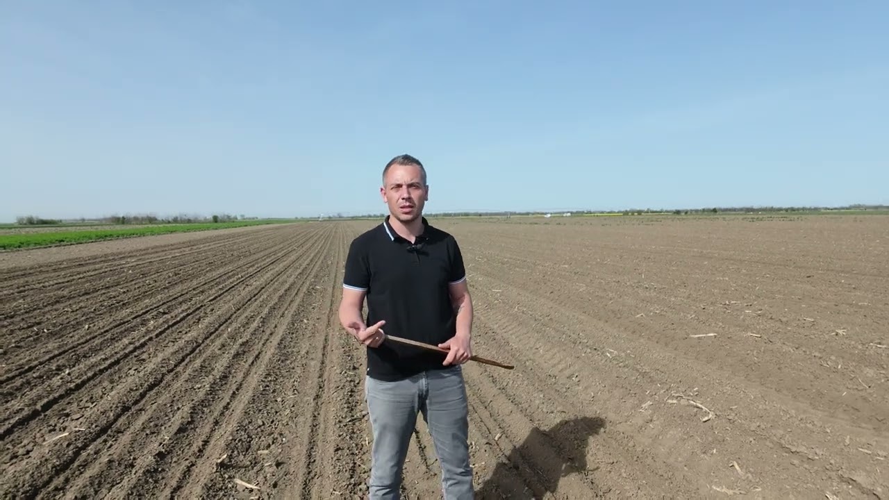 5 greșeli frecvente la semănatul culturilor de primăvară 🌱