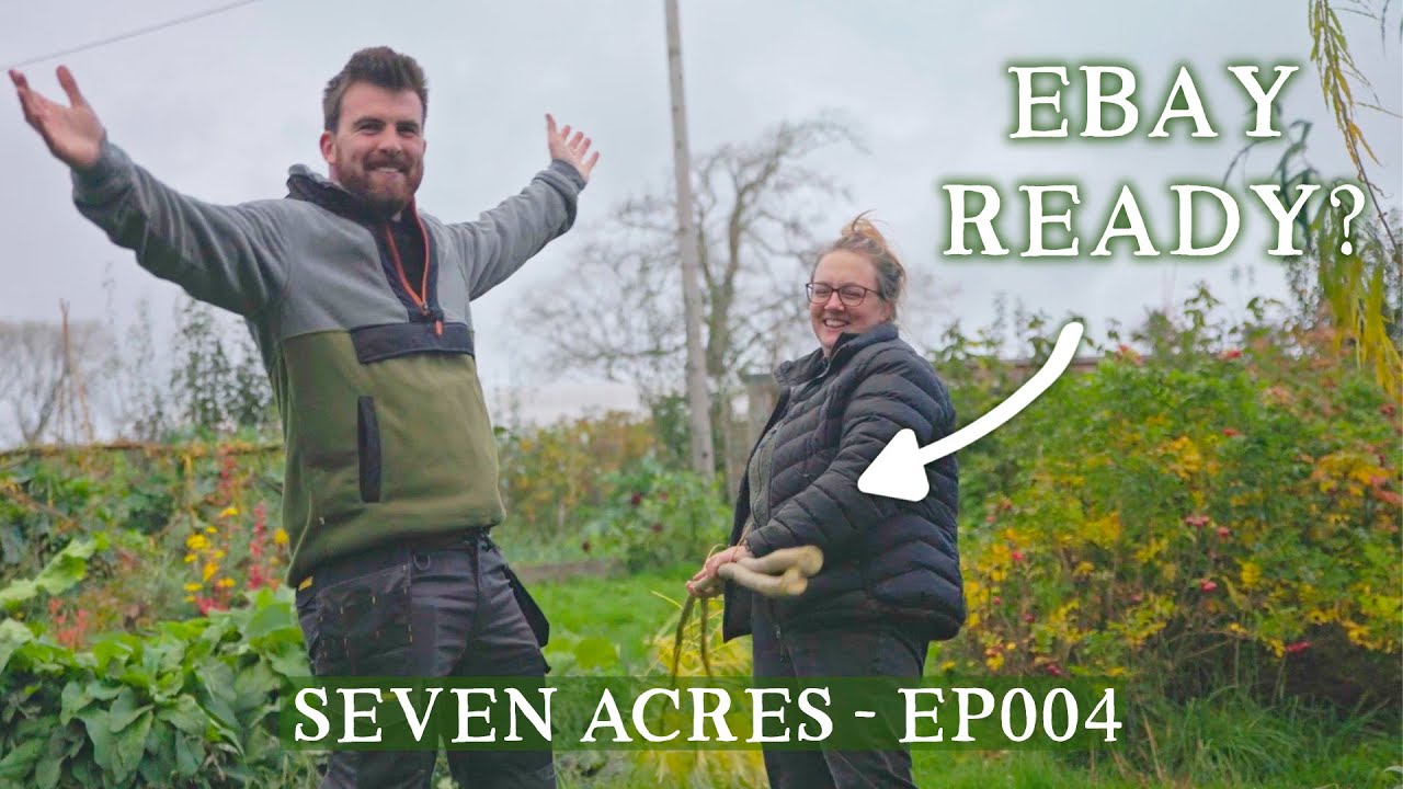 Подготовка eBay, плавучие сараи и перемещение кур · Seven Acres EP004