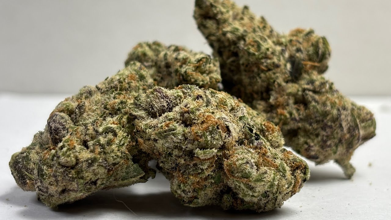 Purple Churro THCA Flower Review🔥Lucky Elk Honest 2025 Insights