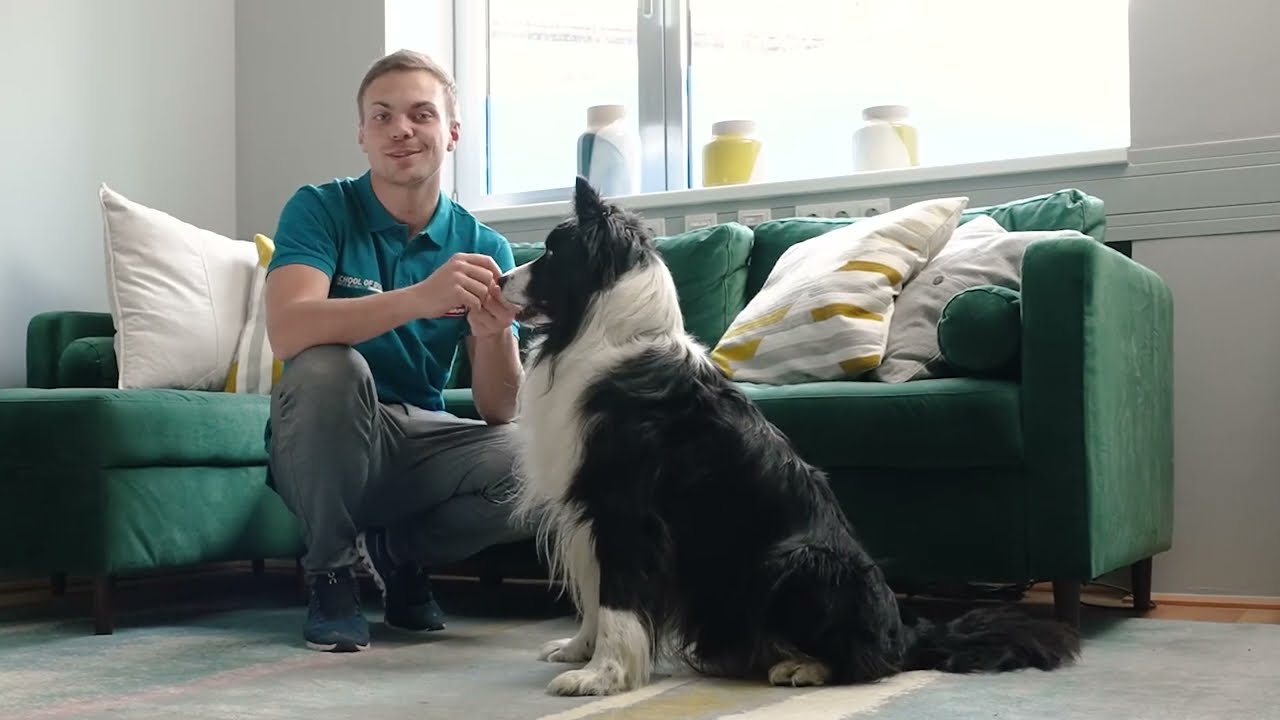 Trick - Rückwärts gehen