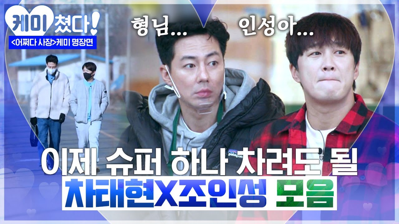 [#케미쳤다] 쉬운 게 하나 없는 초보 사장 차태현 X 조인성의 좌충우돌 우당쾅쾅 덤앤더머 케미💙 그래서 어쩌다사장 시즌2 언제 한다구요?! | #어쩌다사장 #샾잉
