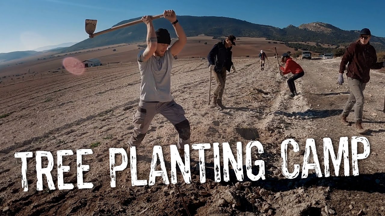 Planting Trees in Spain / Ecosystem Restoration Camp