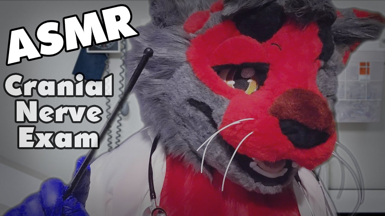 ASMR | Dr. Heart Performs a Cranial Nerve Exam on You! [Doctor Roleplay]