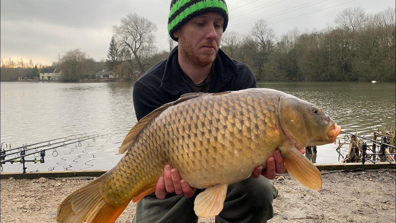 ****CARP FISHING**** Loscoe Dam 29/12/19