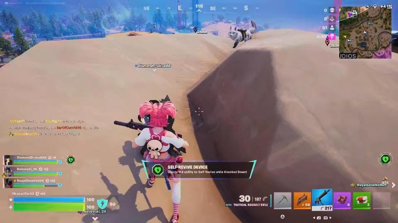 Fortnite squad win clutch
