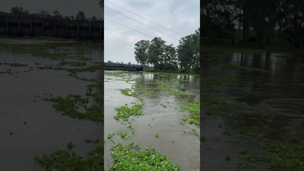 Gahlri flood Gurdaspur.#punjabfloods2025 #floodinpunjab