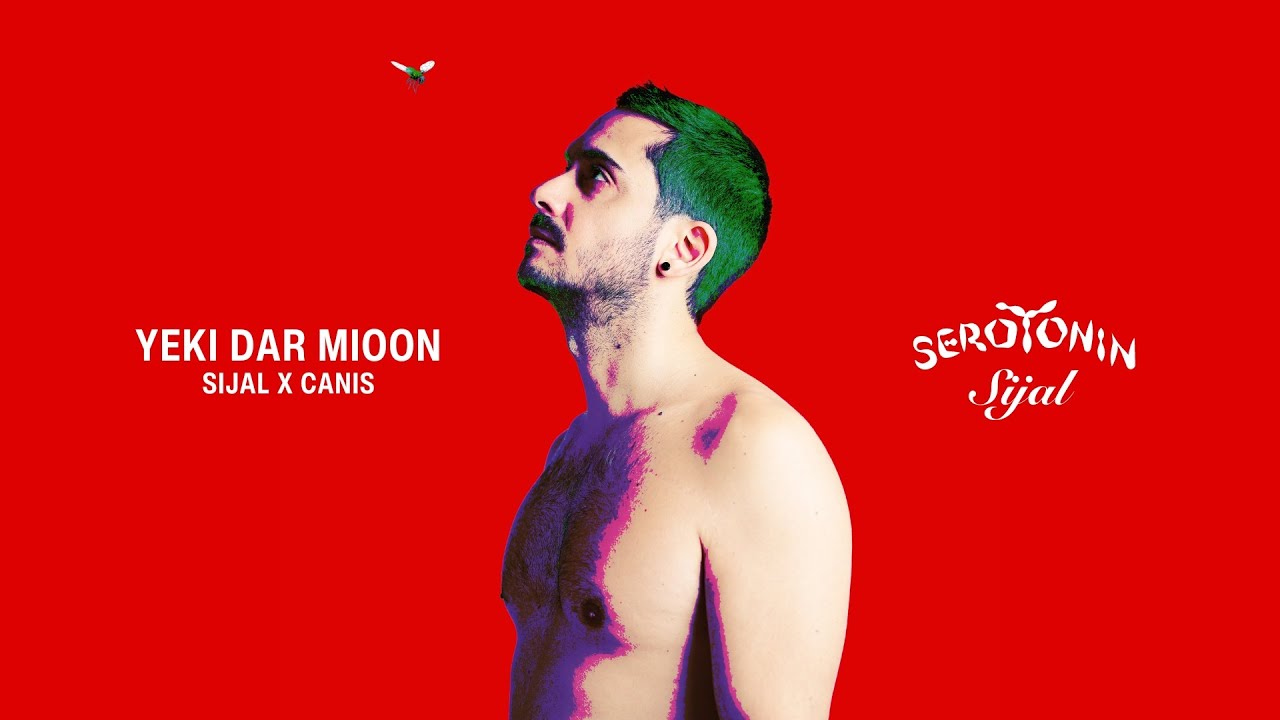 Sijal x Canis - Yeki Dar Mioon (Official Visualizer)
