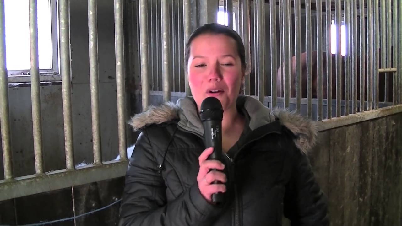 RSV de Hoge Devel, Ponykamp 2013 Hollywood