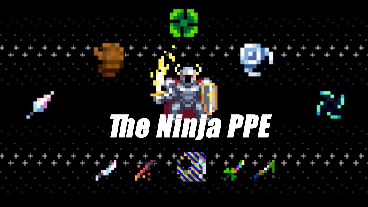 The Ninja PPE - ROTMG