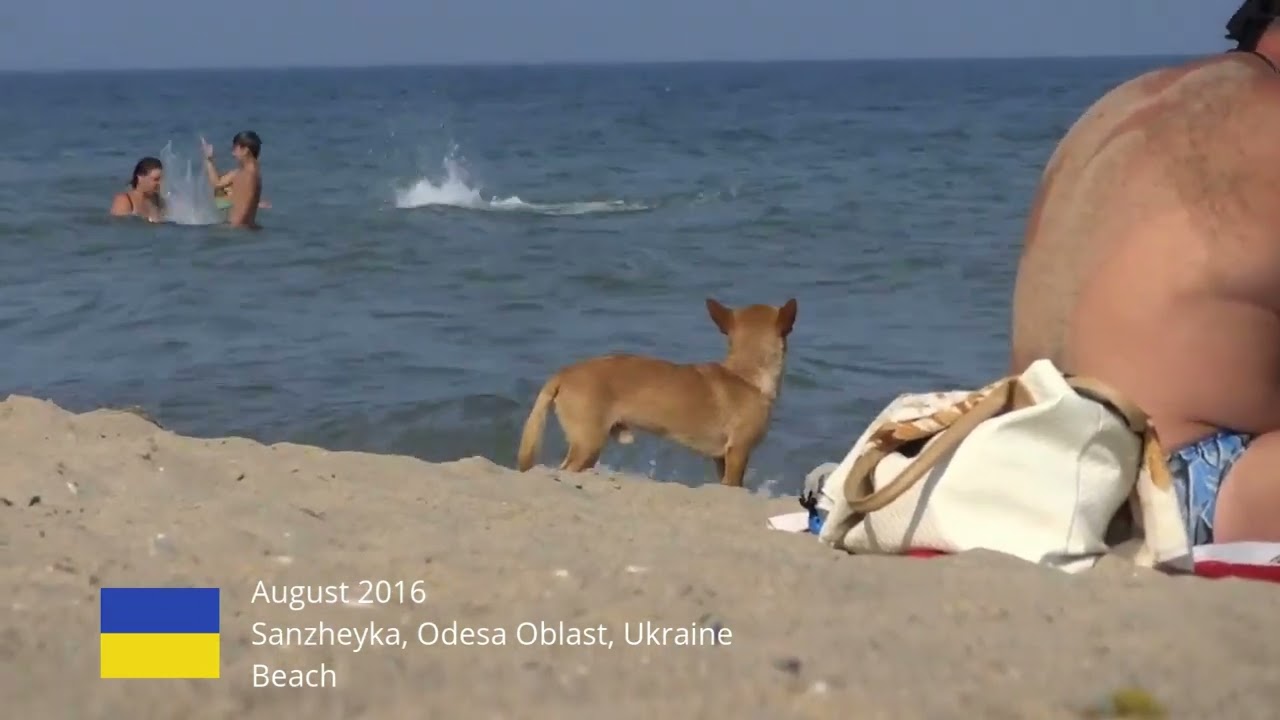 Sanzheyka, Odesa Oblast, Ukraine /// Beach /// Vodo Travel