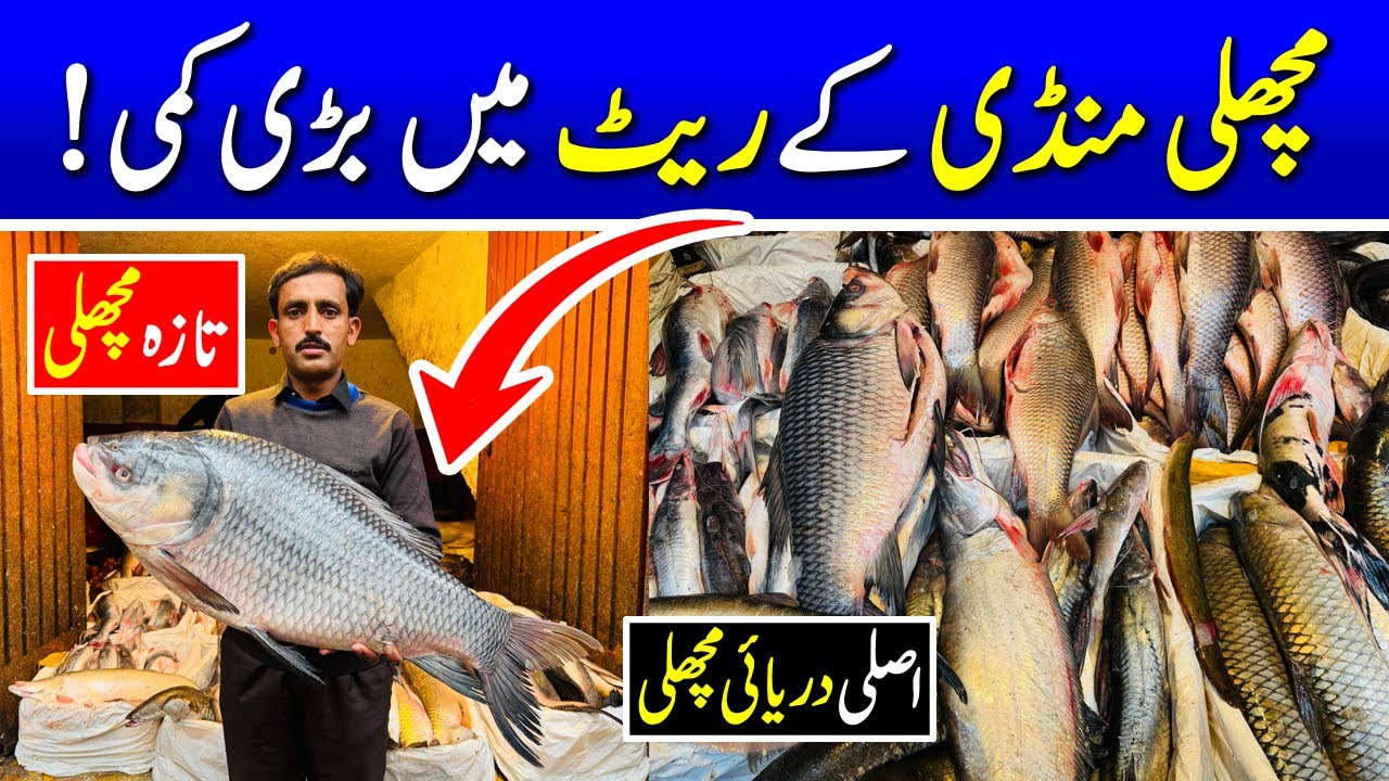 Big drop in the rates of fish market in Pakistan | Fish wholesale market Lahore | Fish market rates
