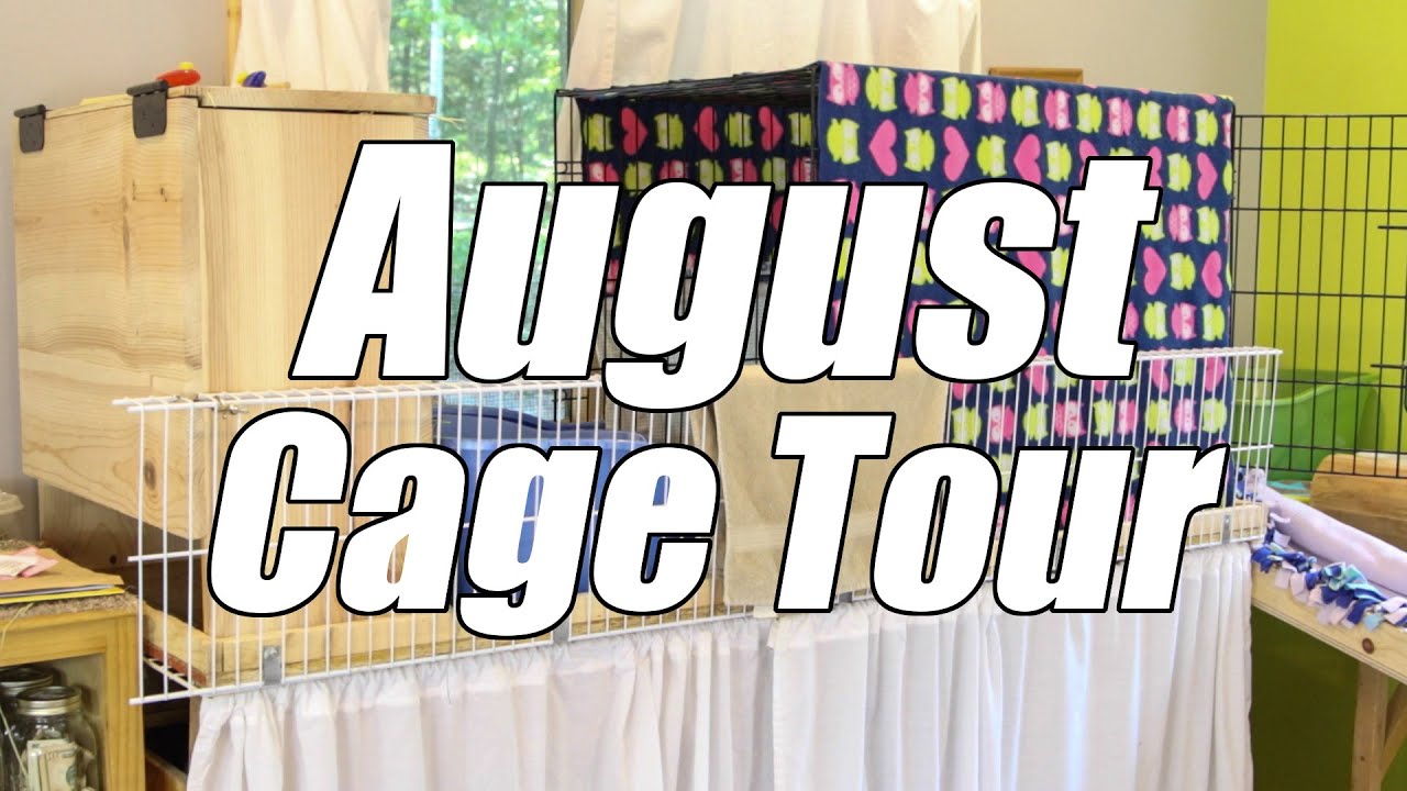 August Cage Tour 2015
