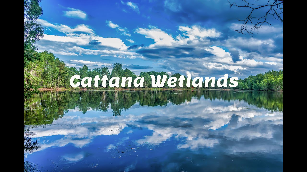 Adventure Queensland (Cattana Wetlands)
