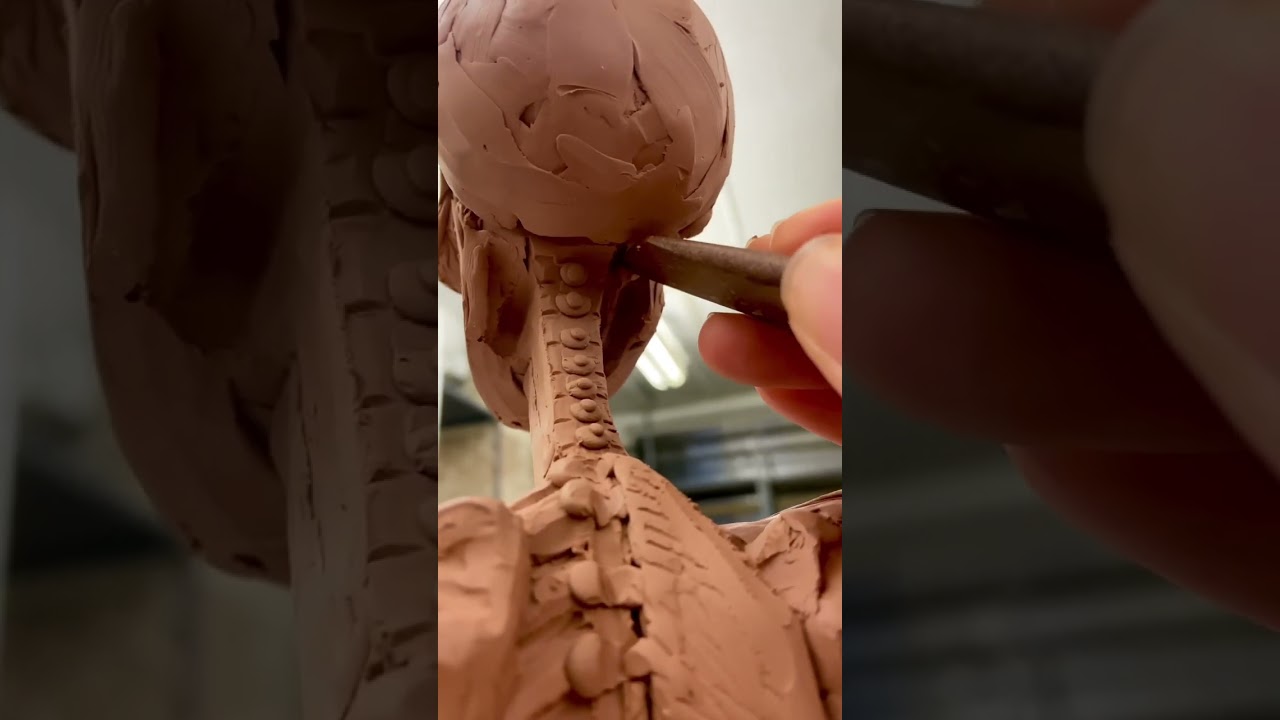 &Eacute;corch&eacute; from my structural anatomy class 💀
