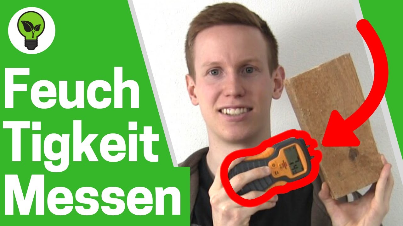 Feuchtigkeit Messen Wand & Holz ✅TOP ANLEITUNG: Feuchtigkeitsmessgerät Brennenstuhl für Holzfeuchte!