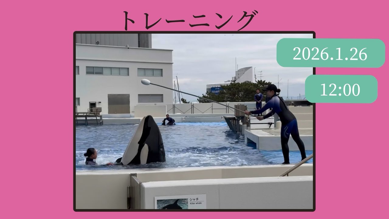 トレーニング　2026.1.26 12:00