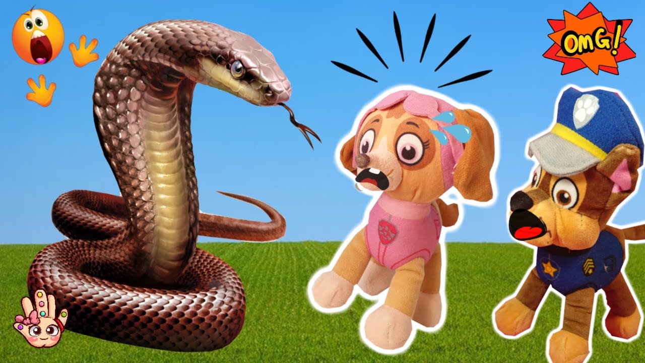 ¡QUÉ SUSTO NOS DA LA SERPIENTE! Paw Pawtrol en español