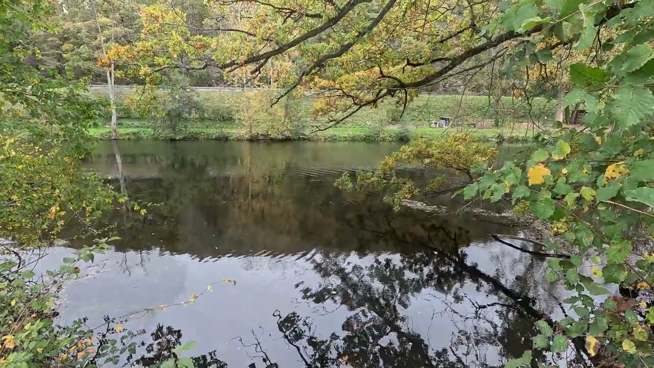 Pr&eacute;sentation Parcours de P&ecirc;che AAPPMA L'Orne Fleurie