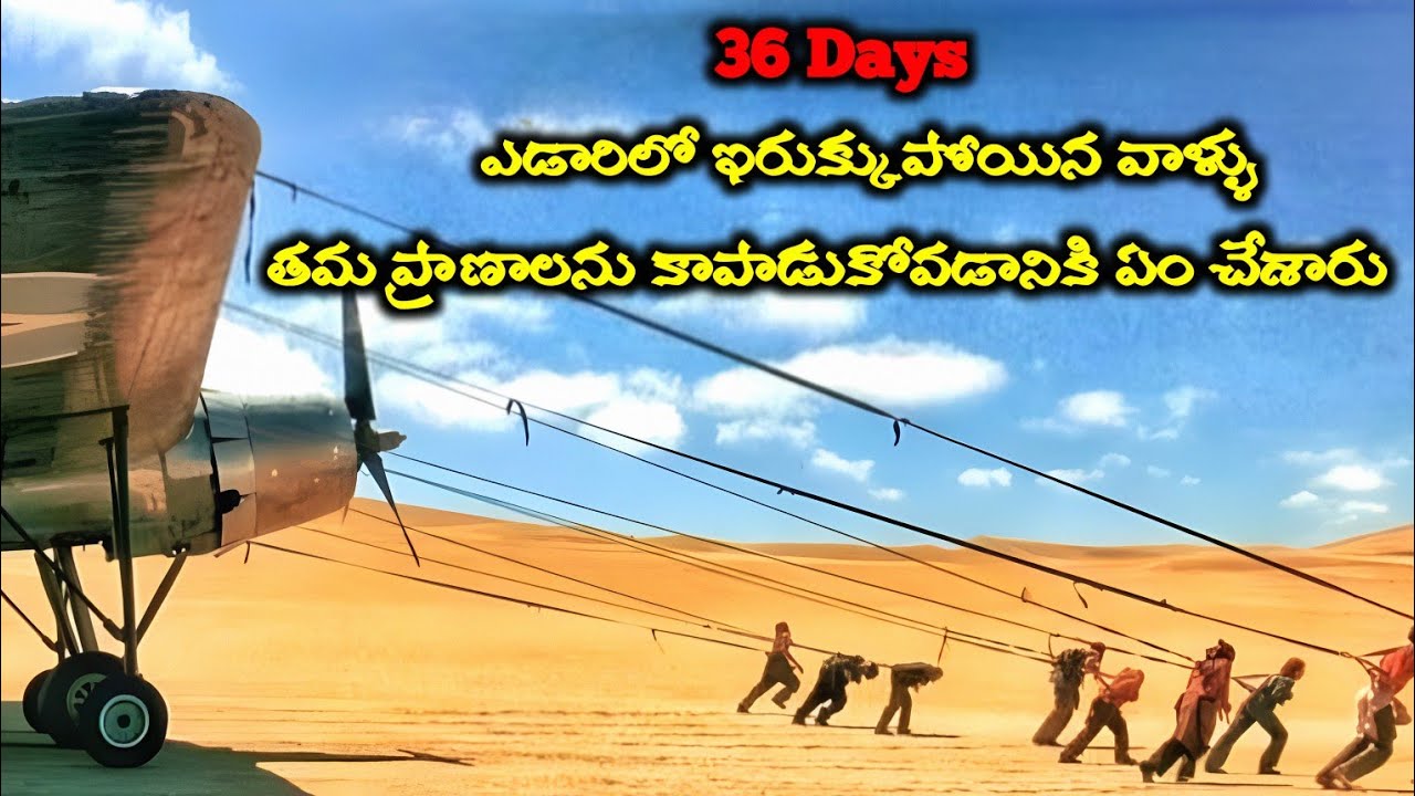 In a plane crash these people Stuck in a Hot Desert How will they survive|Flight of the phoenix 