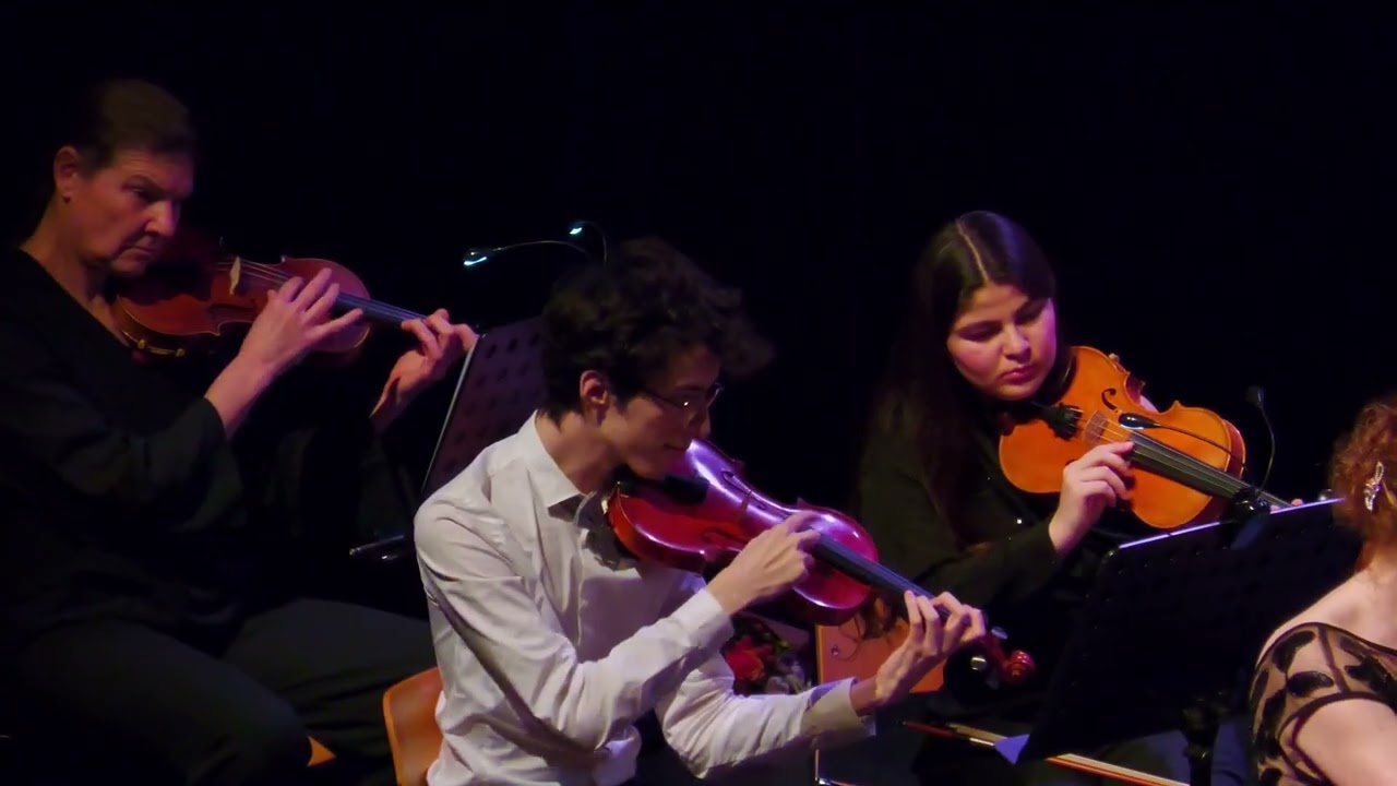 Pizzicato Polka J.Strauss Jr. en Jozef Strauss