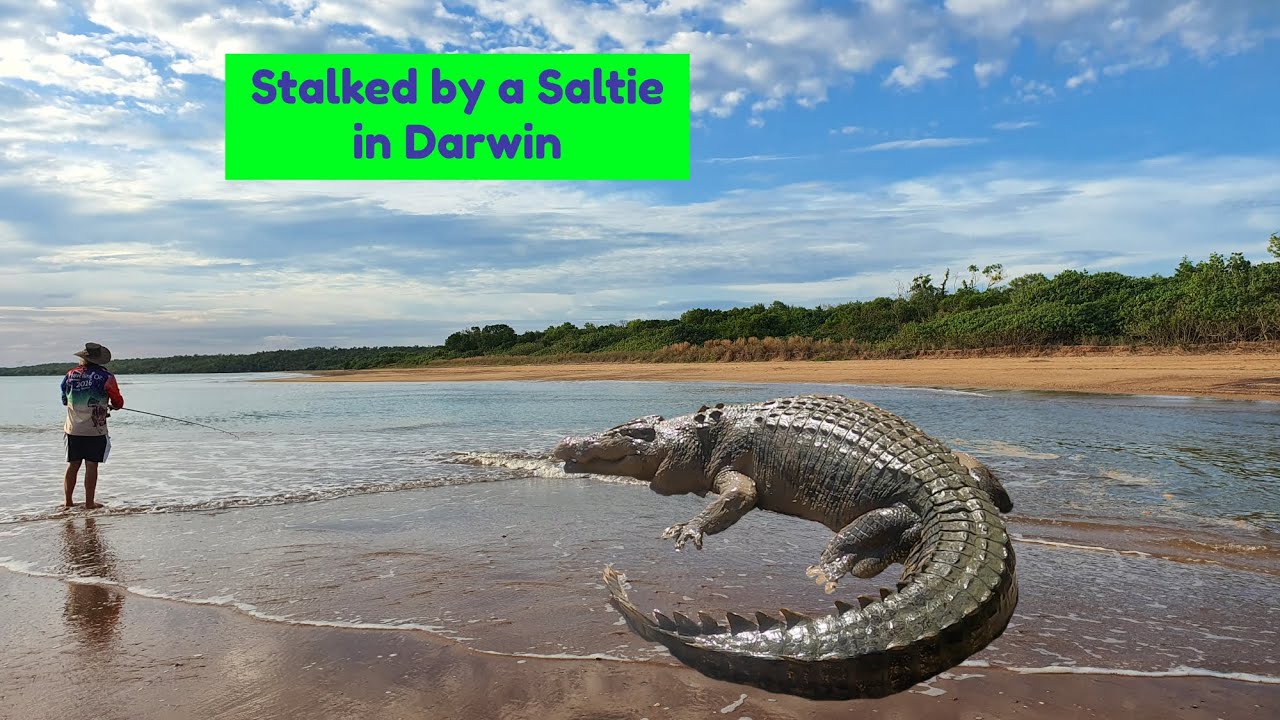 Stalked by a Crocodile while fishing in Darwin