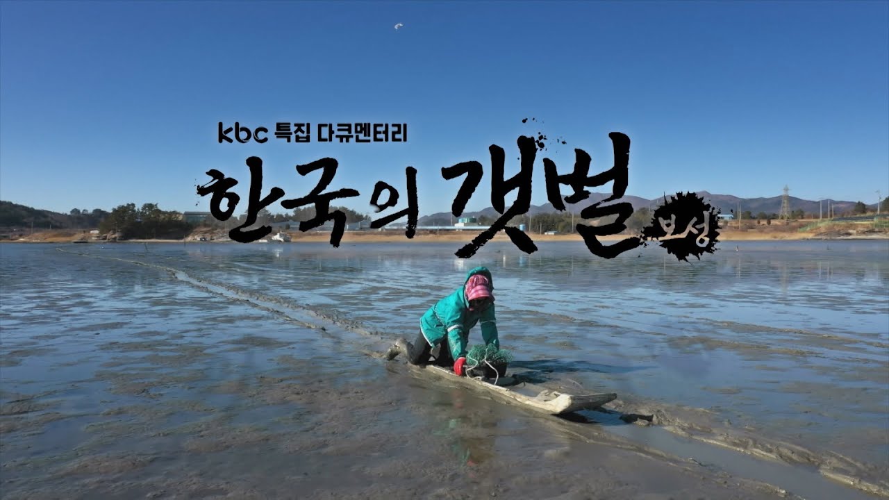 kbc 특집 다큐멘터리 한국의 갯벌 보성