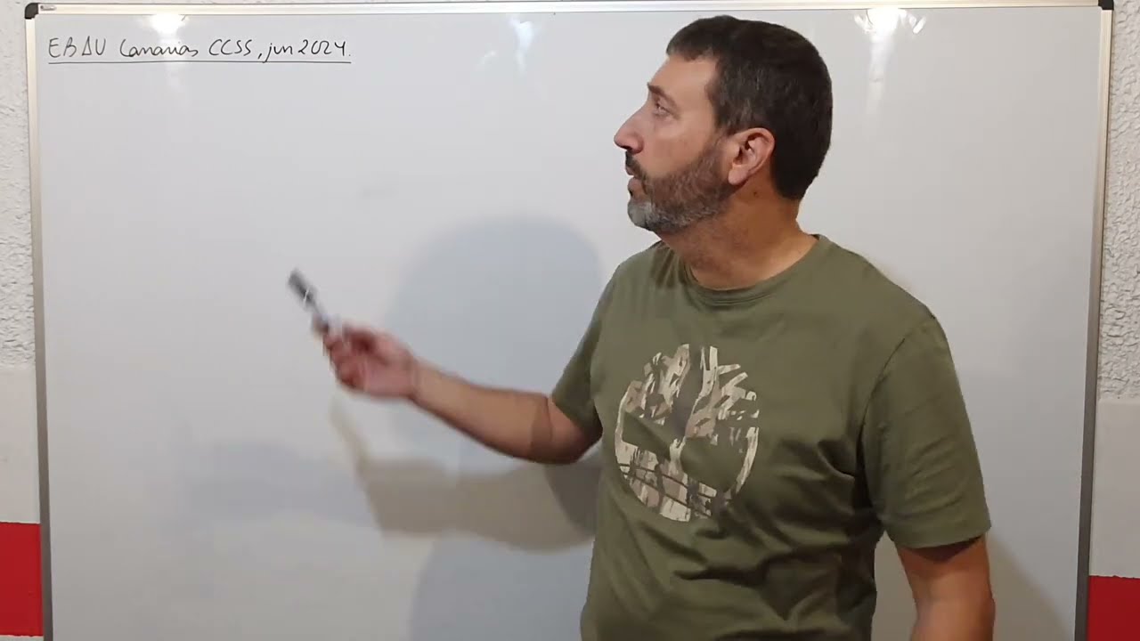 5.1.1. Problema EBAU de programación lineal