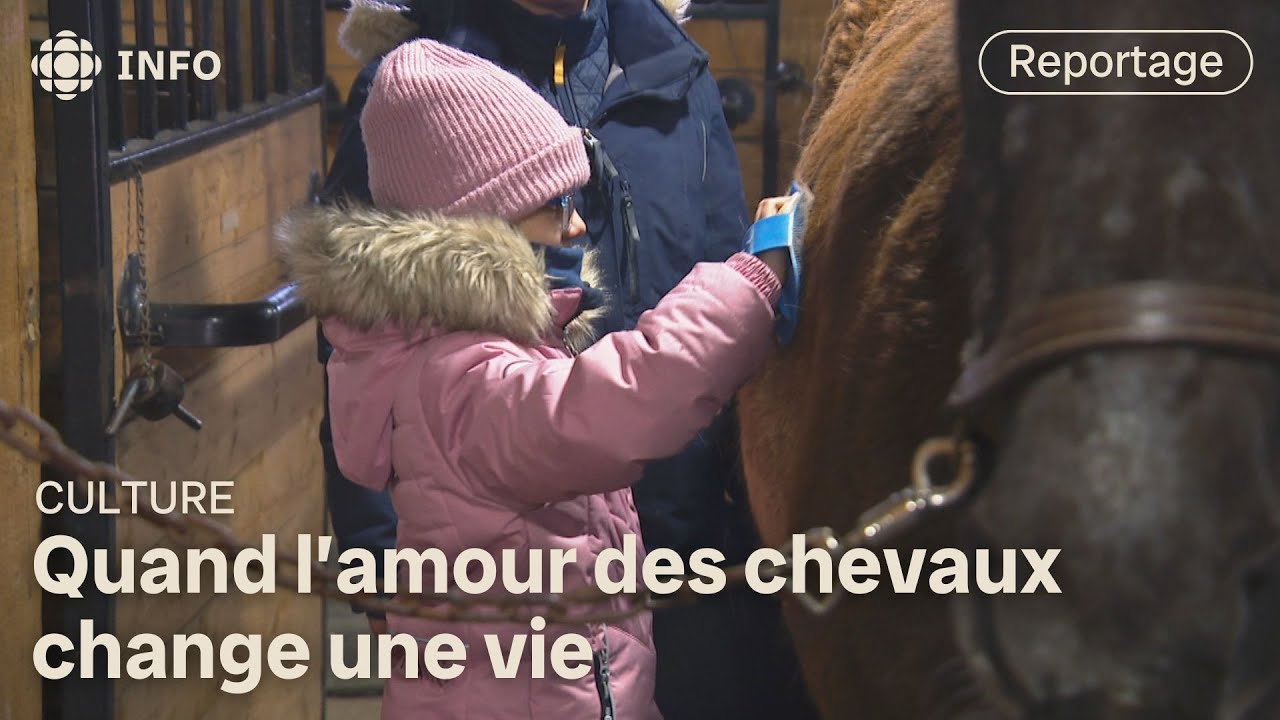 Un artiste s'associe à un centre de zoothérapie équestre