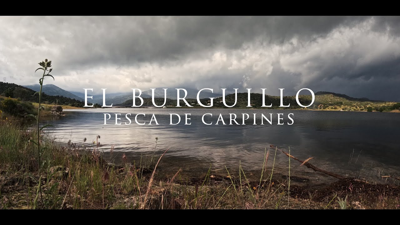 LOS CARPINES DEL BURGUILLO