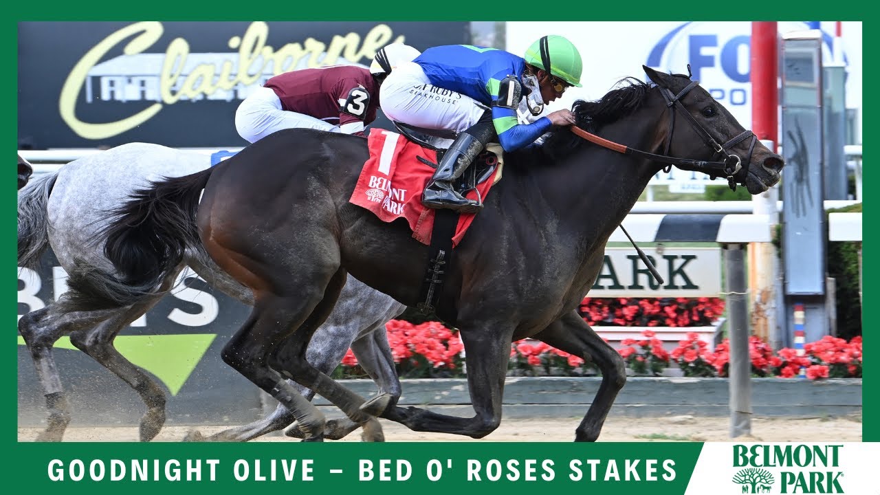 Goodnight Olive - 2023 - The Bed O' Roses