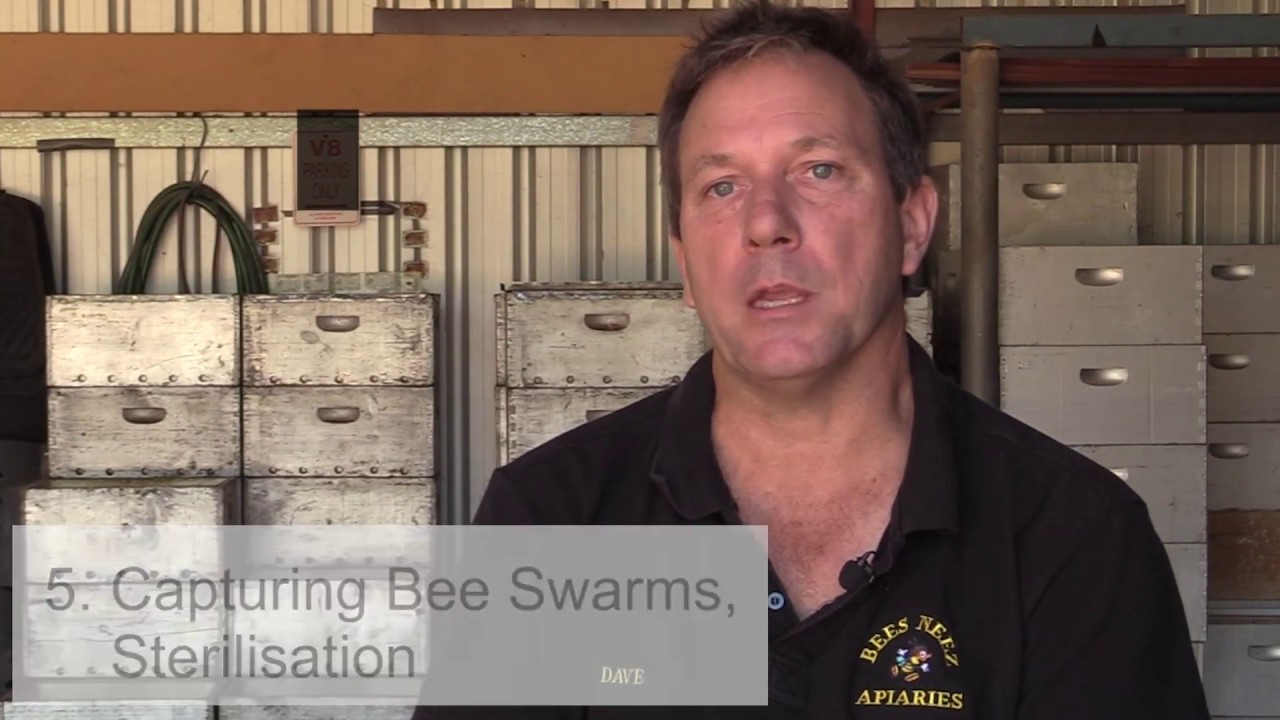 The Barrier Management System &ndash; a best practice video from the Honey Bee & Pollination Program
