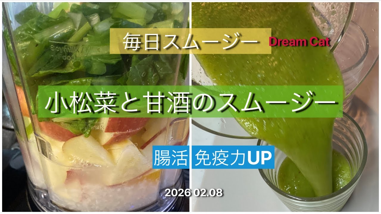 スムージー スペシャリストDream Cat 2026 02.08