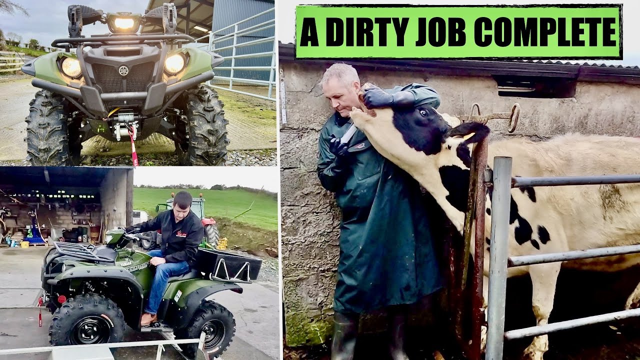 Our New Yamaha Kodiak 700 ATV |  Trying To Save A Cows Blind Eye