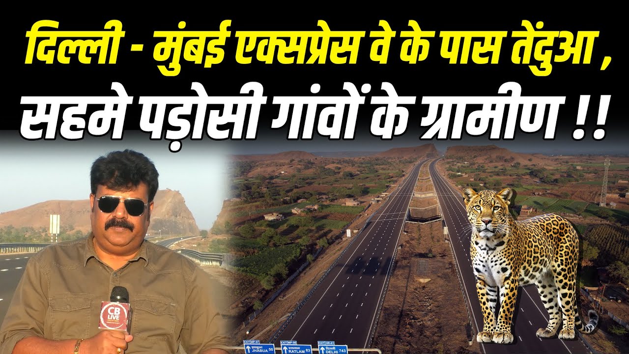 दिल्ली - मुंबई एक्सप्रेस वे के पास तेंदुआ , सहमे पड़ोसी गांवों के ग्रामीण !! #cblive