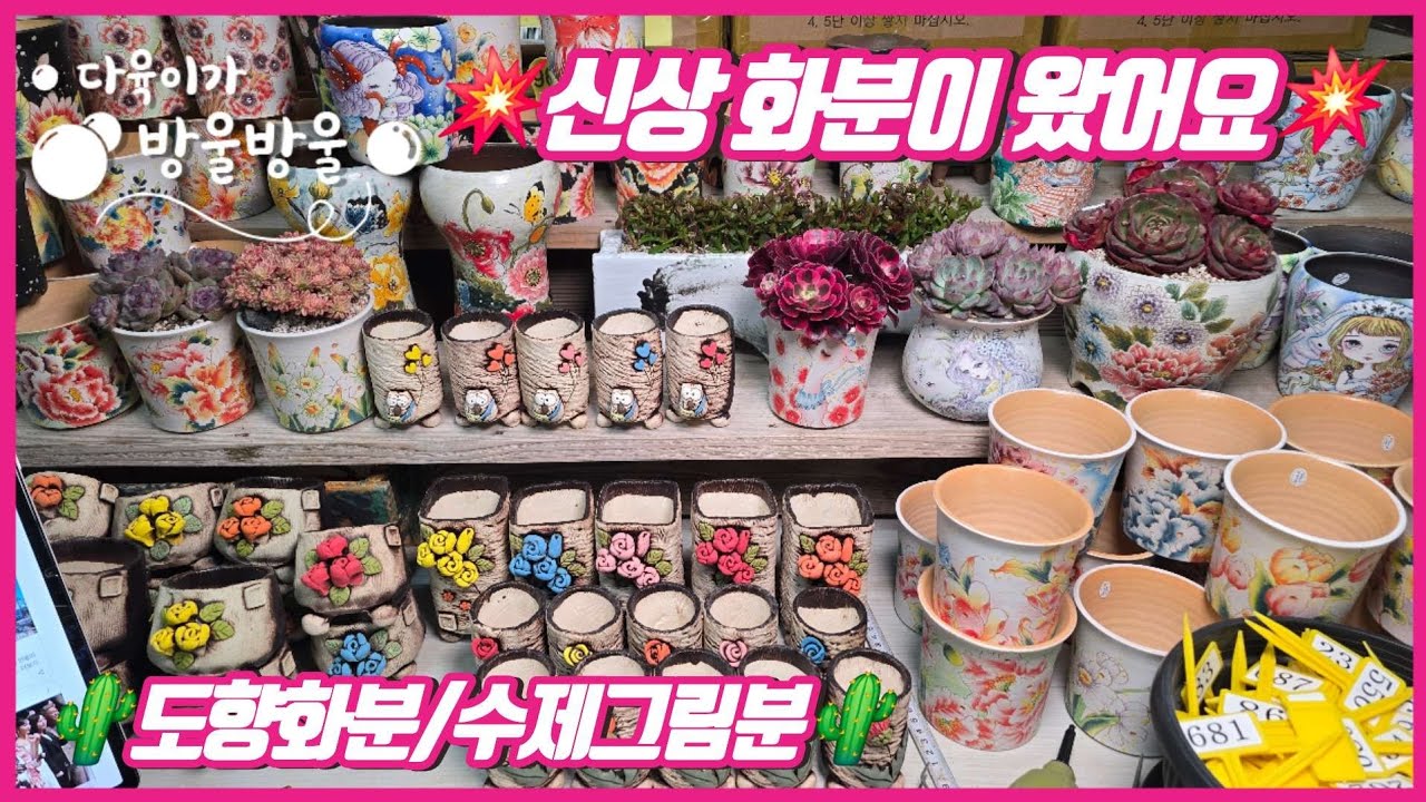260320 금요일 신상 화분이 왔어요~ 구경들 오세요~ 언니들~~💕💕  ☎️010-8835-7281