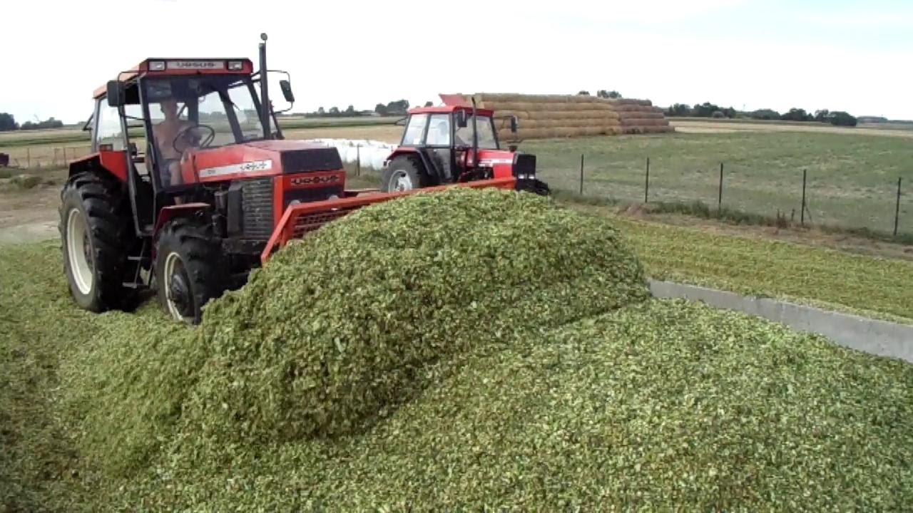 AKCJA KUKURYDZA 2015 U GOLASA II URSUS 1014 ZETOR CLAAS MASSEY