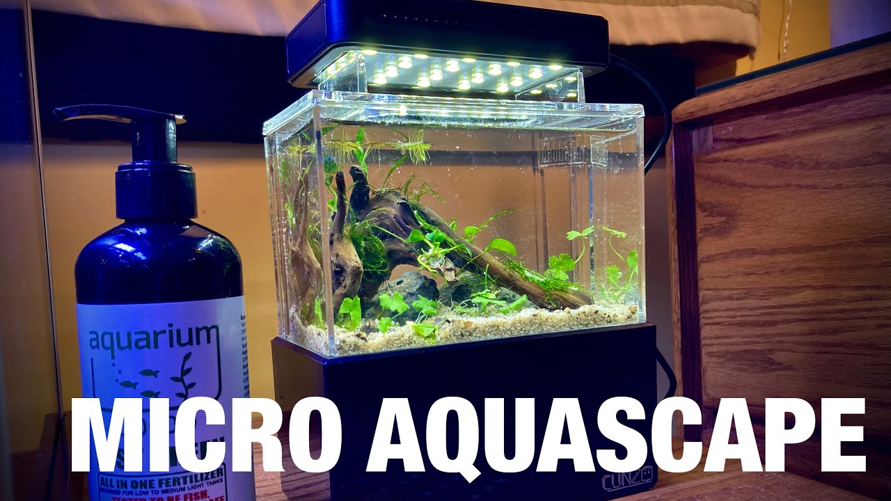 Tiny Planted Aquarium Setup: Mini Complete Tank Aquascape