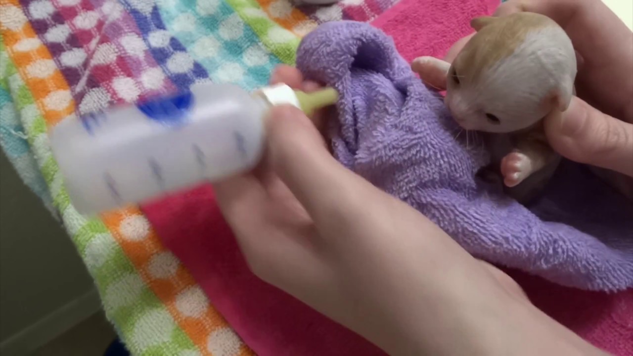 Silicone Kitten Daisy's Bedtime Routine! Bath, Feed and Powder!