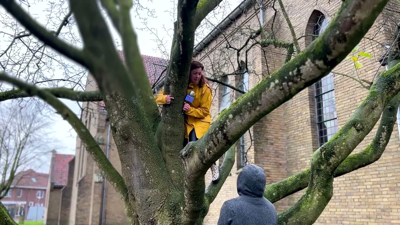 Reporter Esther in de boom, Gala Lesten Stuuver 2026