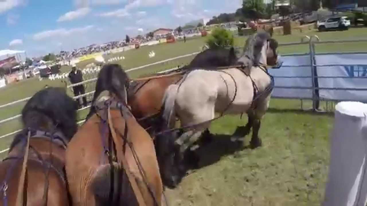 Titanen der Rennbahn 2015 * Hindernis Vierspänner *