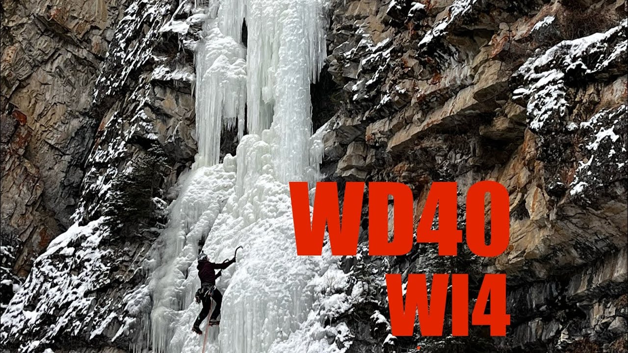 WD40 WI4