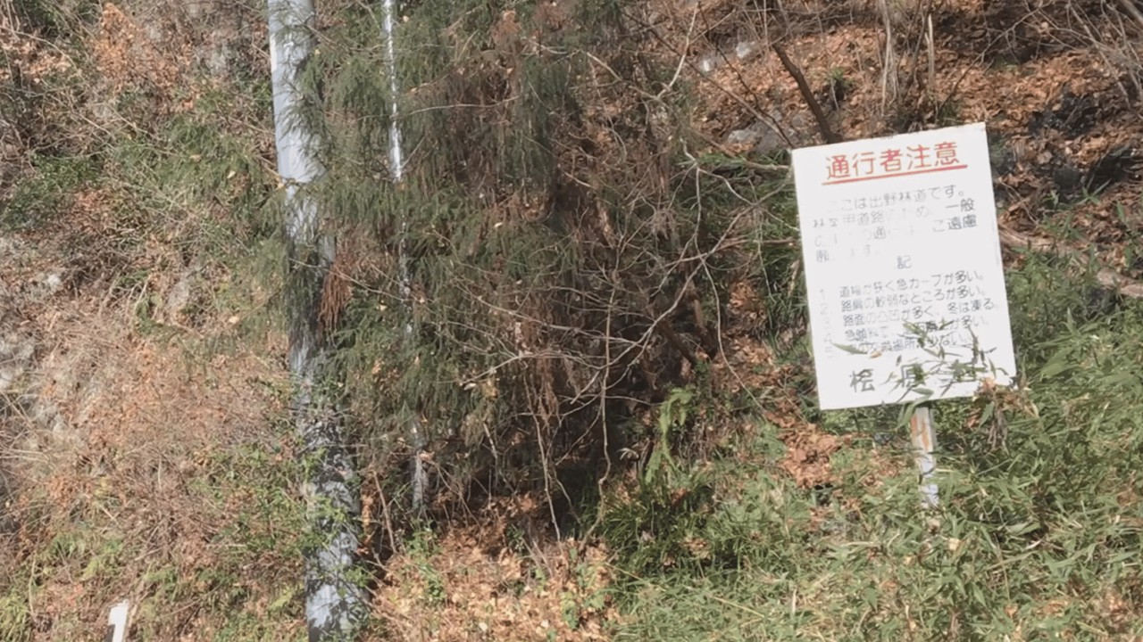 【新型デリカミニで行く】東京都 林道 出野線（倒木）