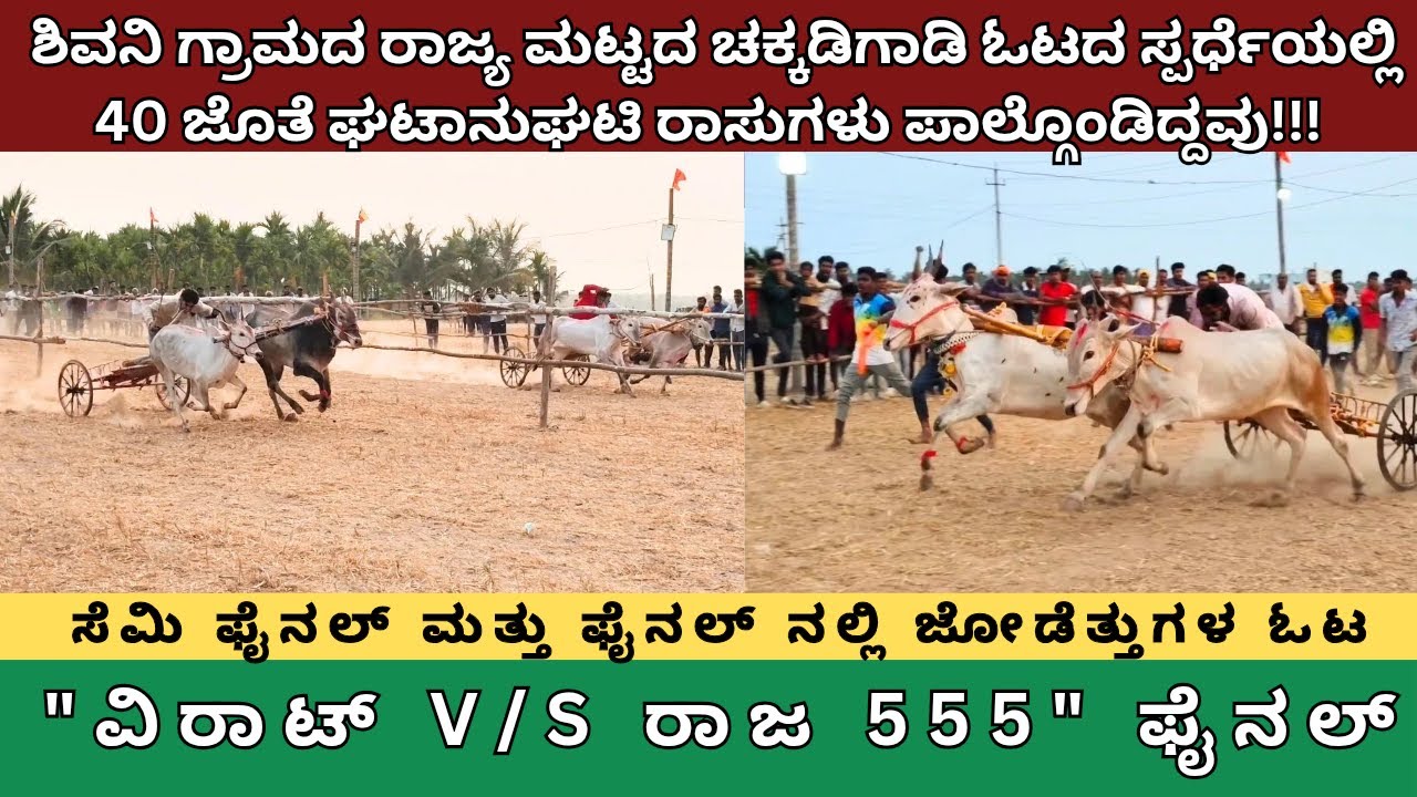 ಶಿವನಿ ಗ್ರಾಮದ ರಾಜ್ಯಮಟ್ಟದ ಚಕ್ಕಡಿಗಾಡಿ ಓಟದ ಸ್ಪರ್ಧೆಯಲ್ಲಿ 40ಜೊತೆ ರಾಸುಗಳು ಪಾಲ್ಗೊಂಡಿದ್ದವು(ವಿರಾಟ್ V/S ರಾಜ555)