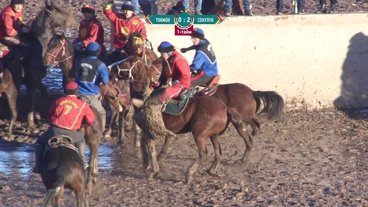 Көк бөрү / Токмок - Сокулук