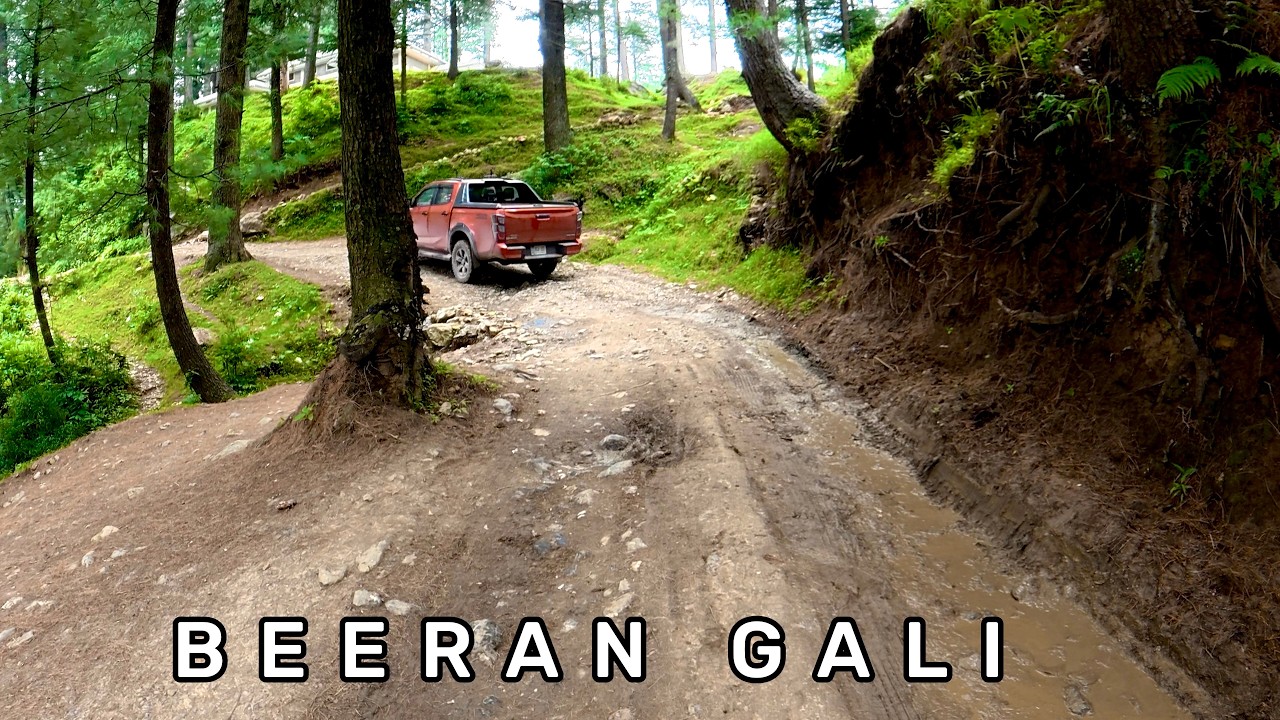 Beeran Gali | Galiyat&rsquo;s Wildest Forest Road Through Streams & Waterfalls