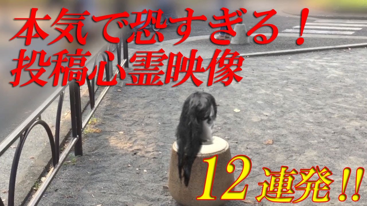 【期間限定配信】本気で恐すぎる！投稿心霊映像12連発！